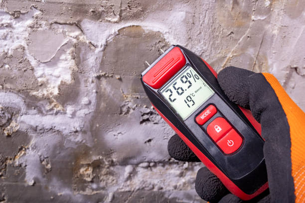 Best Home Mold Removal  in Tekamah, NE